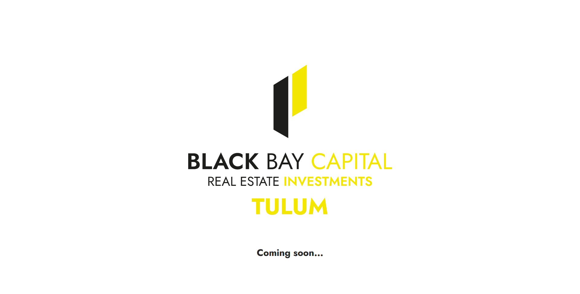 Black Bay Capital Real Estate Investments